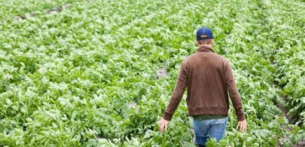 Οι νέοι Θεσσαλοί αγρότες εγκαταλείπουν το επάγγελμα